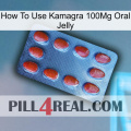 How To Use Kamagra 100Mg Oral Jelly 06